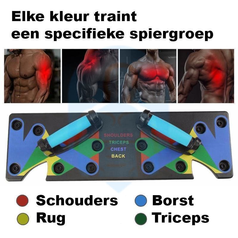 Train 4 spiergroepen met het Push-up Board